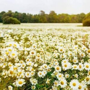 Meet your Posher, Jeremy